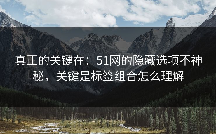 真正的关键在：51网的隐藏选项不神秘，关键是标签组合怎么理解