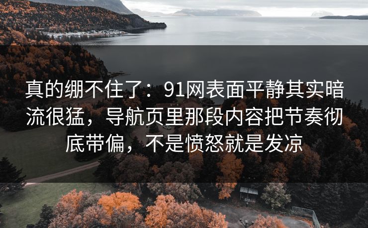 真的绷不住了:91网表面平静其实暗流很猛,导航页里那段内容把节奏彻底带偏,不是愤怒就是发凉 真的绷不住了:91网表面平静其实暗流很猛,导航页里那段内容把节奏彻底带偏,不是愤怒就是发凉
