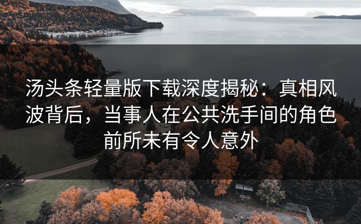 汤头条轻量版下载深度揭秘：真相风波背后，当事人在公共洗手间的角色前所未有令人意外